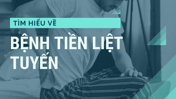 Tuyến tiền liệt là gì? Hiểu rõ về bệnh và cách phòng tránh