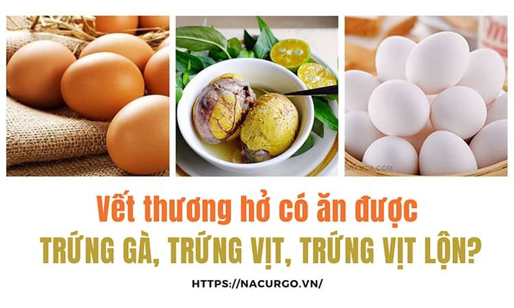 Có nên ăn trứng vịt lộn khi bị vết thương hở?