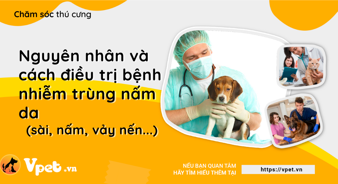 Nguyên nhân và cách điều trị bệnh nhiễm trùng nấm da (sài, nấm, vảy nến...)