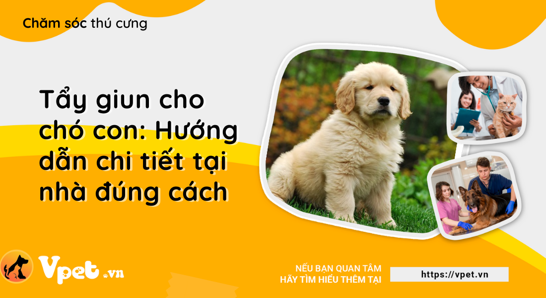 Tẩy giun cho chó con: Hướng dẫn chi tiết tại nhà đúng cách