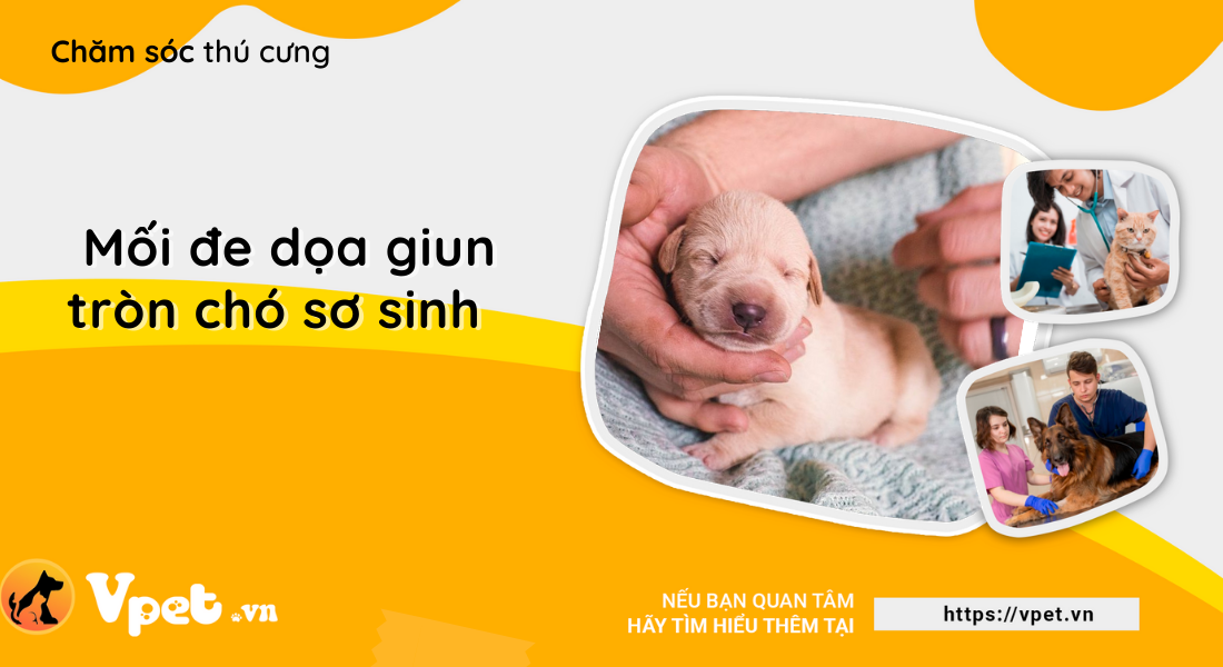 Mối đe dọa giun tròn chó sơ sinh