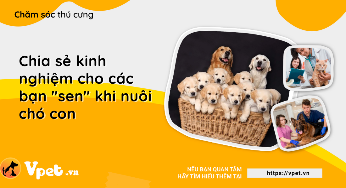 Chia sẻ kinh nghiệm cho các bạn "sen" khi nuôi chó con