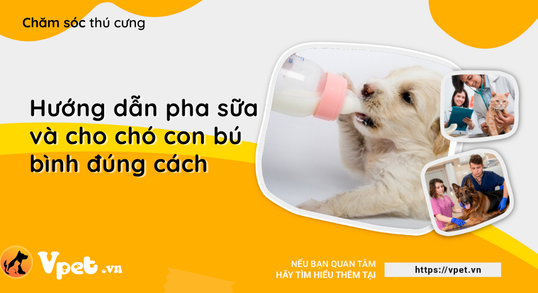 Hướng dẫn pha sữa và cho chó con bú bình đúng cách