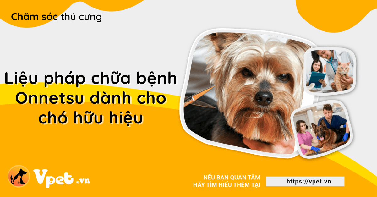 Liệu pháp chữa bệnh Onnetsu dành cho chó hữu hiệu