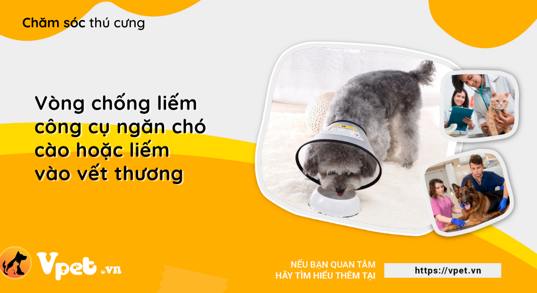 Vòng chống liếm - Công cụ ngăn chó cưng cào hoặc liếm vào vết thương