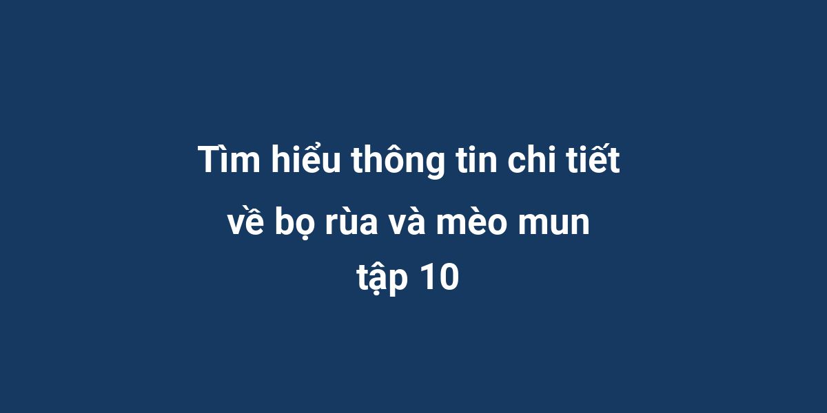 Tìm hiểu thông tin chi tiết về bọ rùa và mèo mun tập 10