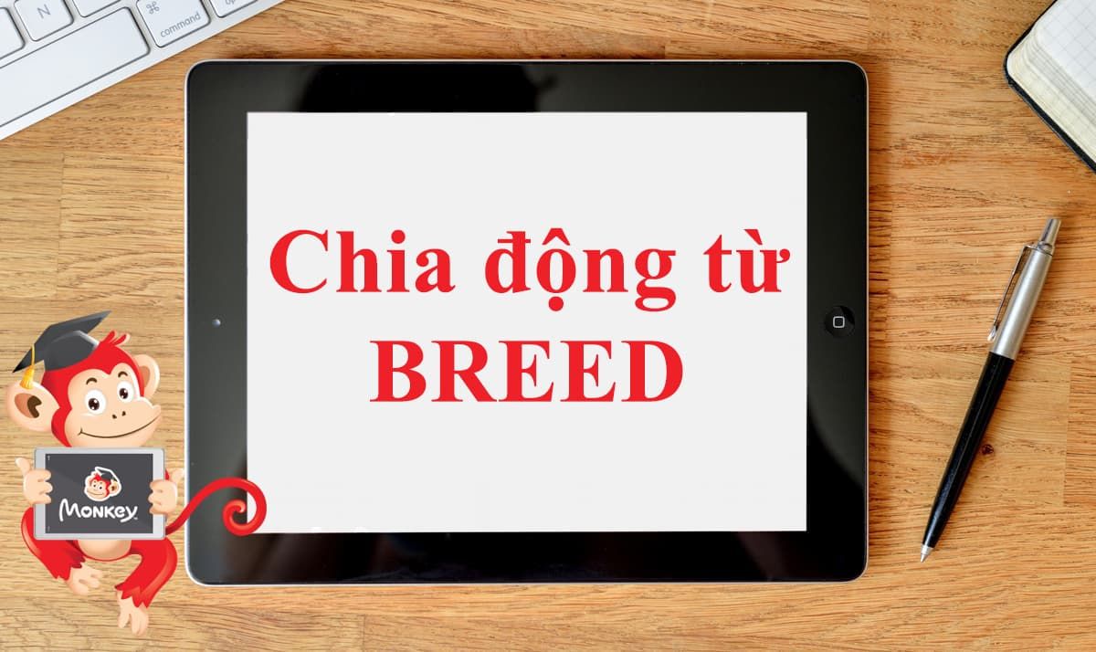 Tìm hiểu về breed là gì và tại sao nó quan trọng cho giống thú cưng của bạn