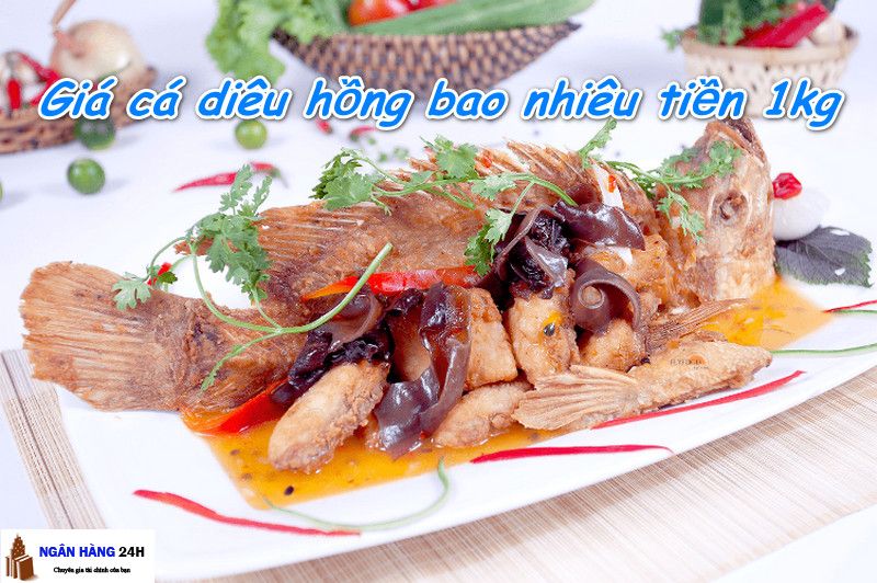 Cá diêu hồng giống bao nhiêu 1kg - Thông tin chi tiết về giá cả và quy trình nuôi