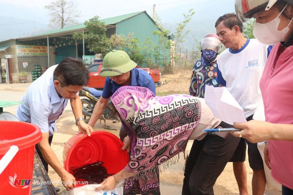 Tìm hiểu về cá lăng giống - Thông tin, cách nuôi và chăm sóc