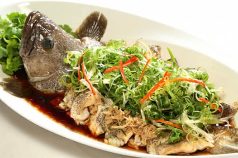 Tìm hiểu những món cá mú nấu gì ngon đặc sắc nhất