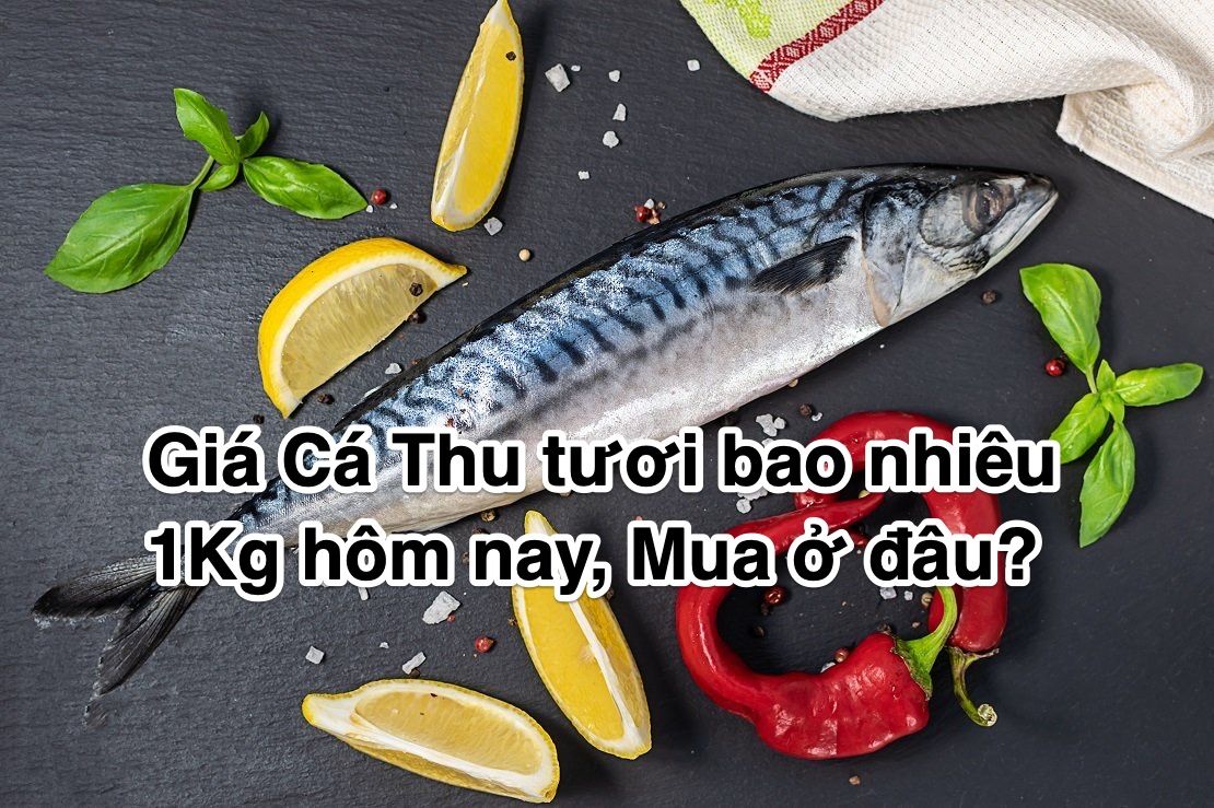 Tìm hiểu về Cá thu trắng - Đặc sản biển đặc trưng của Việt Nam