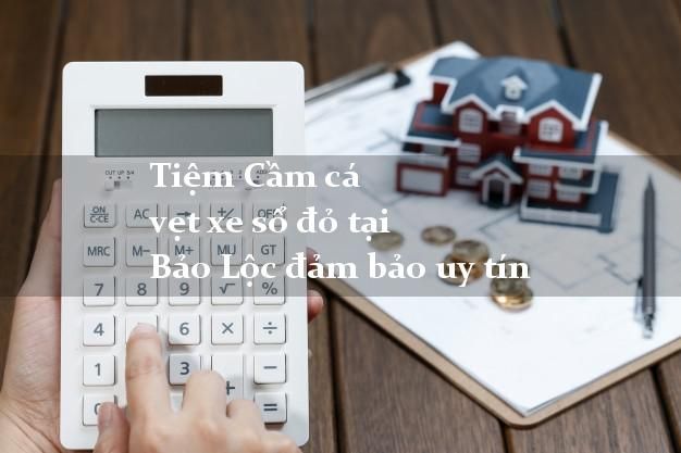 Tìm hiểu về cá vẹt đỏ - thông tin, chăm sóc và nuôi dưỡng