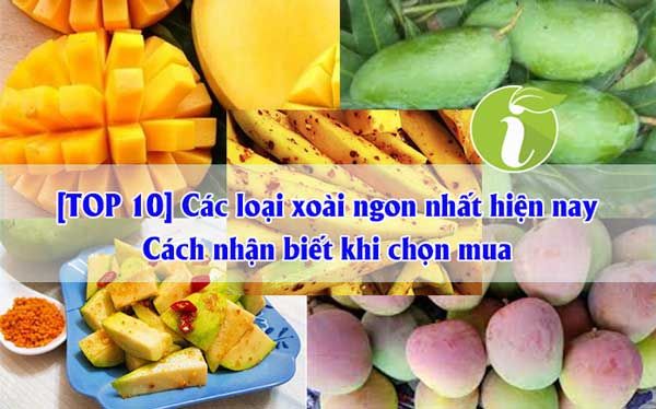 Tìm hiểu về các giống xoài phổ biến trên thế giới tại đây