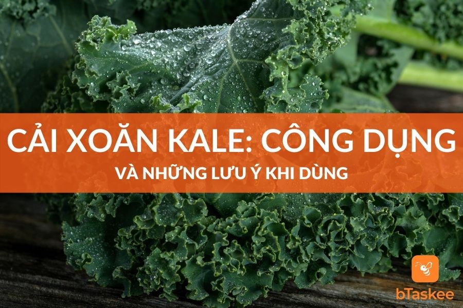 Những Tác Dụng Tuyệt Vời Của Cải Xoăn Bạn Cần Biết