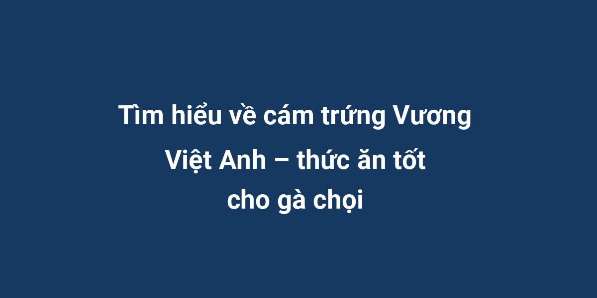 Tìm hiểu về cám trứng Vương Việt Anh – thức ăn tốt cho gà chọi