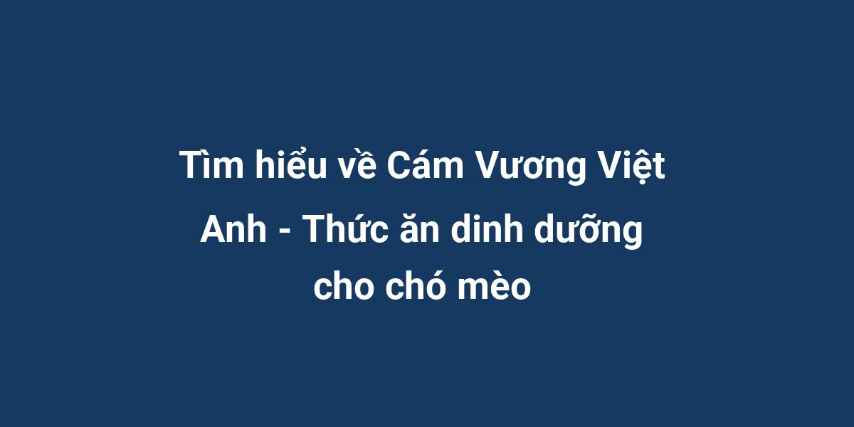 Tìm hiểu về Cám Vương Việt Anh - Thức ăn dinh dưỡng cho chó mèo