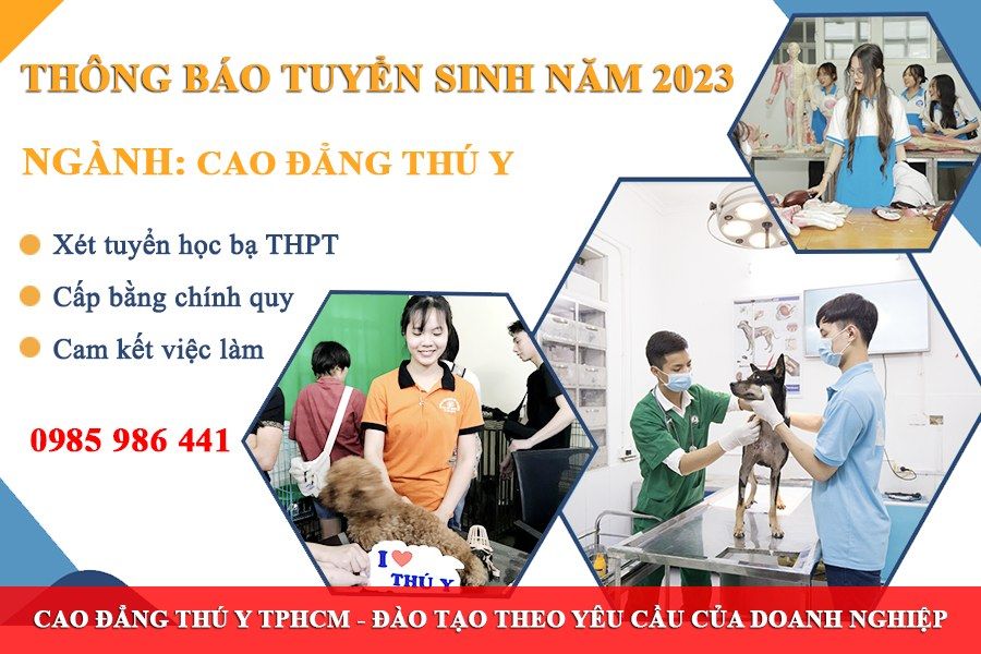 Tìm hiểu về Cao đẳng Thú y Hà Nội - Trường đào tạo chất lượng