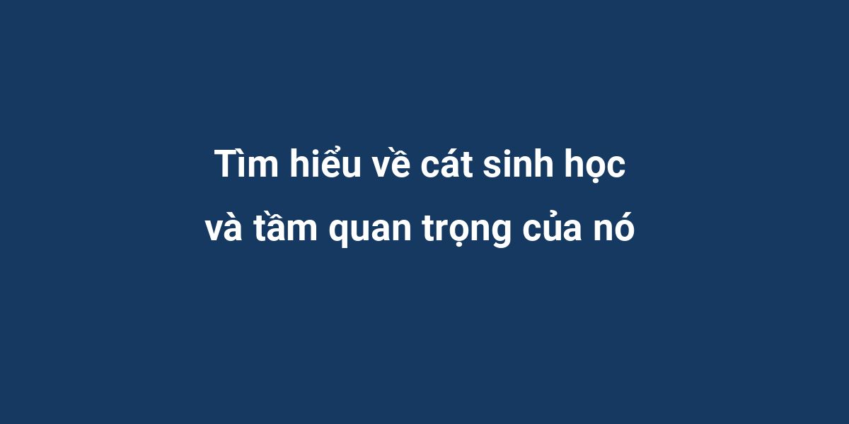 Tìm hiểu về cát sinh học và tầm quan trọng của nó