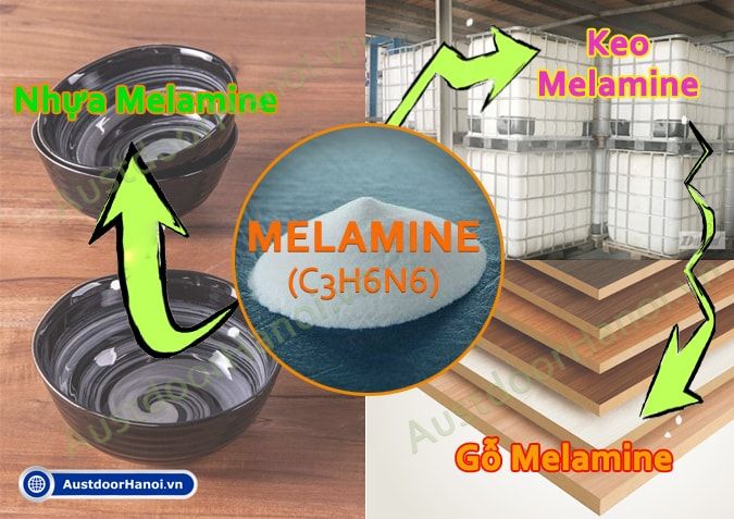 Tất tần tật thông tin về chén nhựa melamine - Ẩm thực và độc đáo