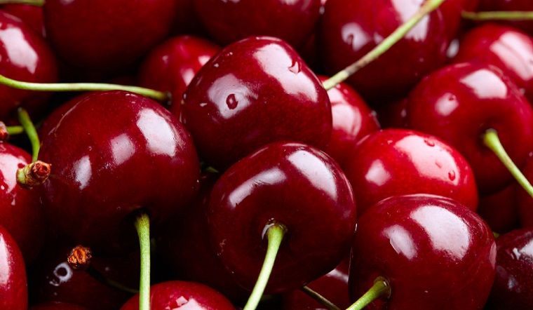 Tất tần tật thông tin về cherry không hạt - Giới thiệu và lợi ích