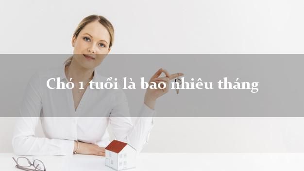 Chó 1 tuổi là bao nhiêu tháng? Thông tin chi tiết về tuổi của chó