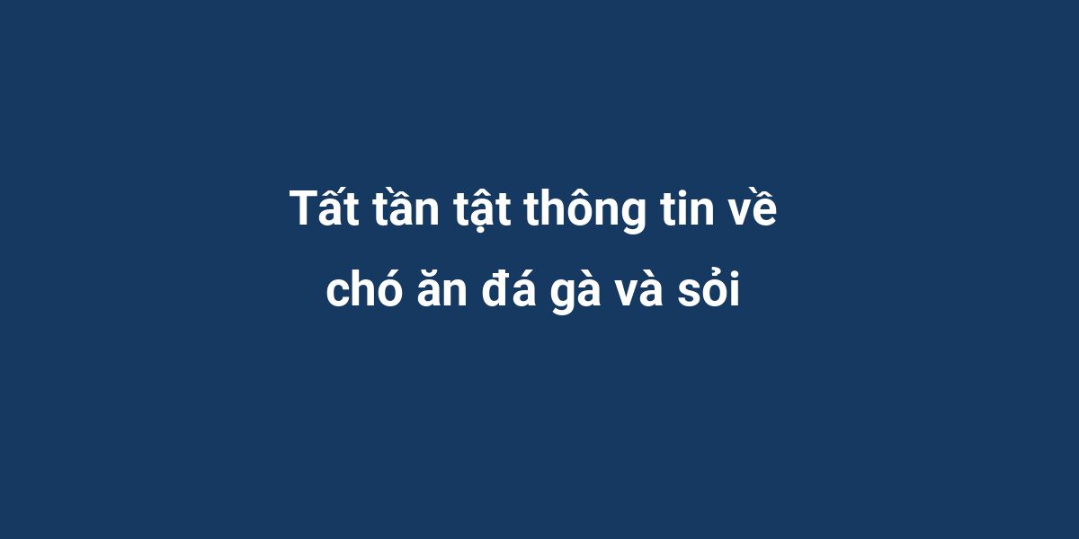 Tất tần tật thông tin về chó ăn đá gà và sỏi