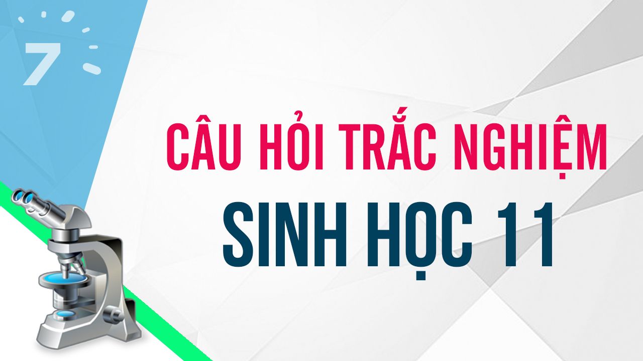 Cho biết những ưu điểm của tiêu hóa thức ăn cho sức khỏe con người