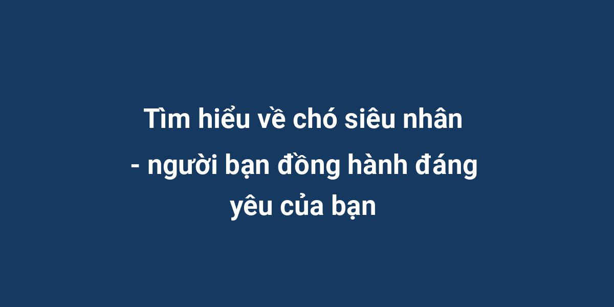 Tìm hiểu về chó siêu nhân - người bạn đồng hành đáng yêu của bạn