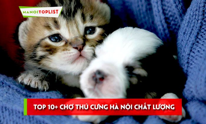 Tìm hiểu về Chợ tốt thú cưng – Nơi cập nhật thông tin mới nhất về thú cưng