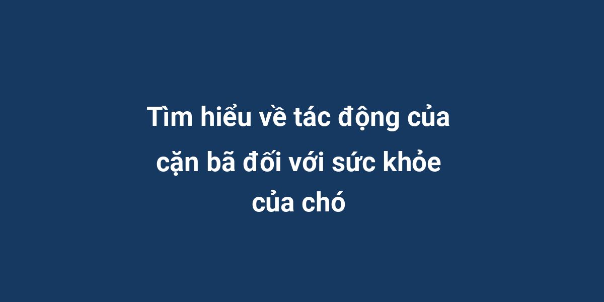 Tìm hiểu về tác động của cặn bã đối với sức khỏe của chó