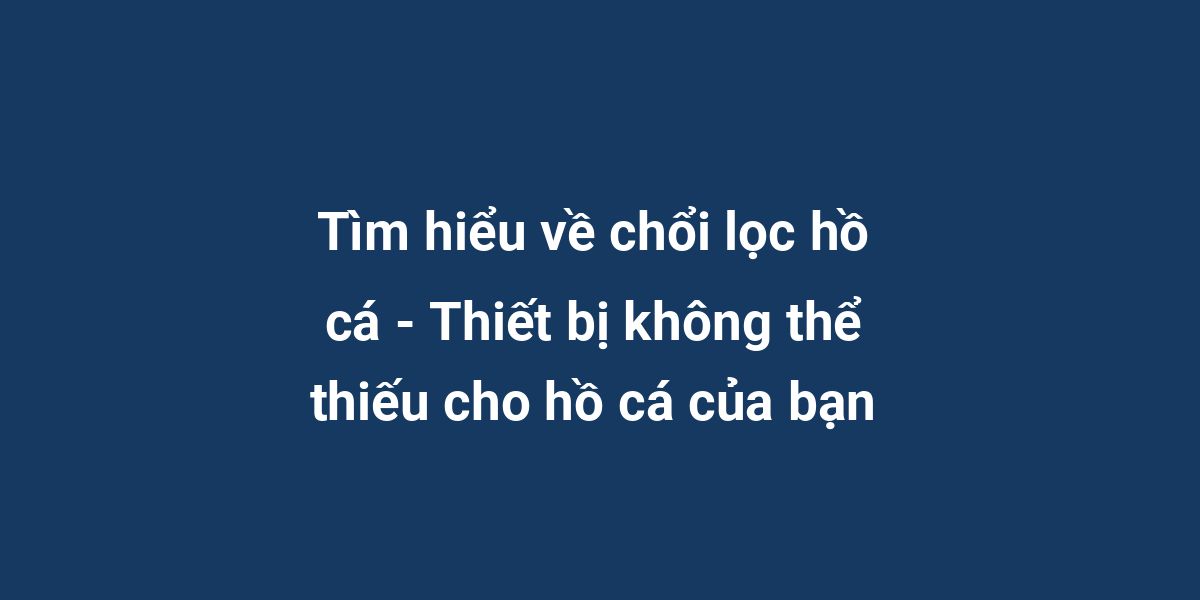 Tìm hiểu về chổi lọc hồ cá - Thiết bị không thể thiếu cho hồ cá của bạn