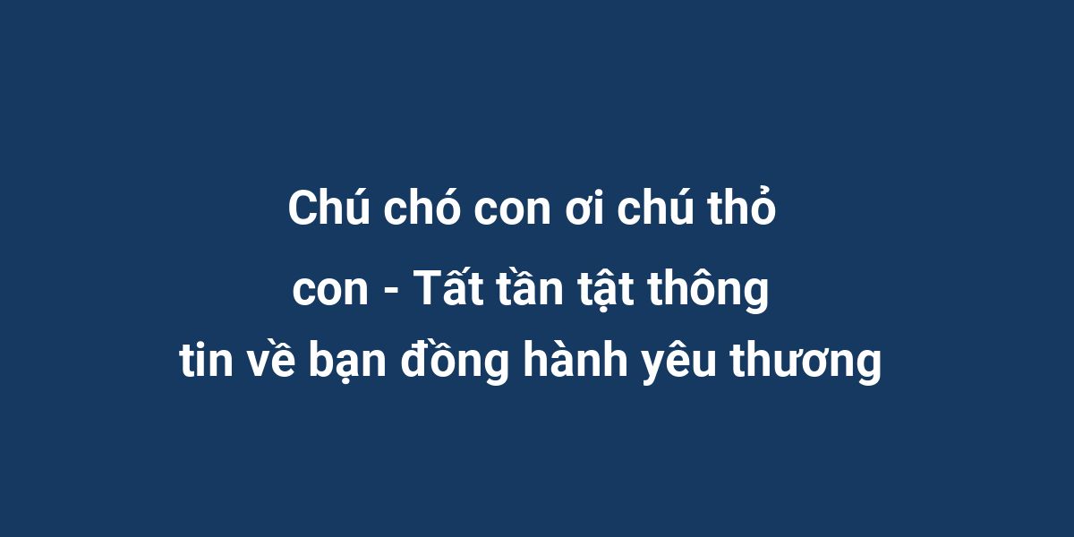 Chú chó con ơi chú thỏ con - Tất tần tật thông tin về bạn đồng hành yêu thương