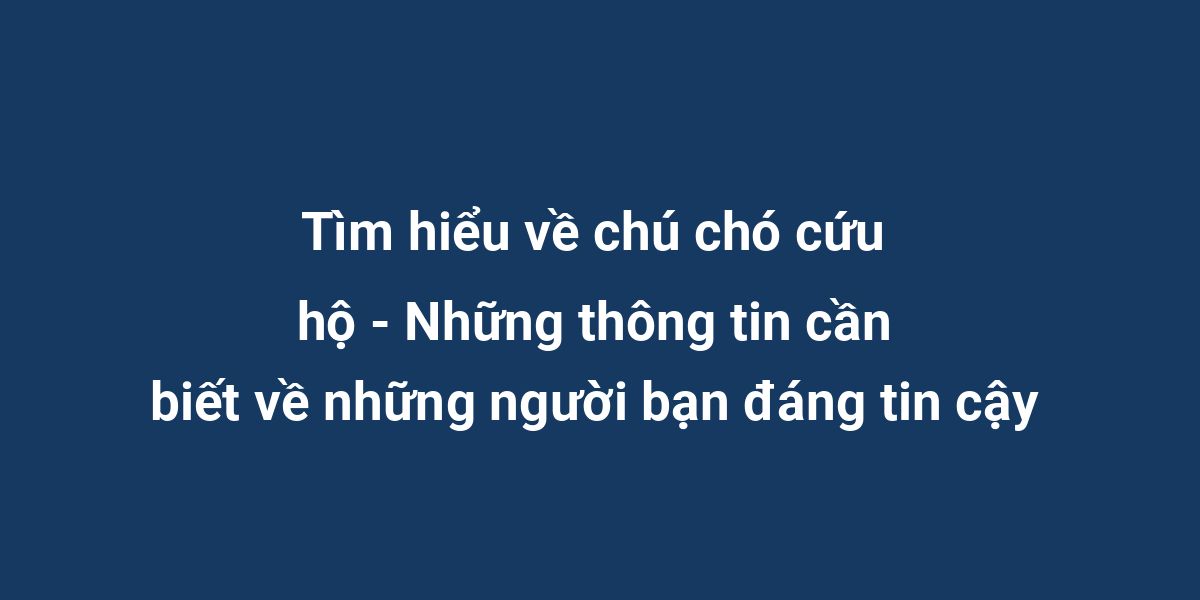 Tìm hiểu về chú chó cứu hộ - Những thông tin cần biết về những người bạn đáng tin cậy