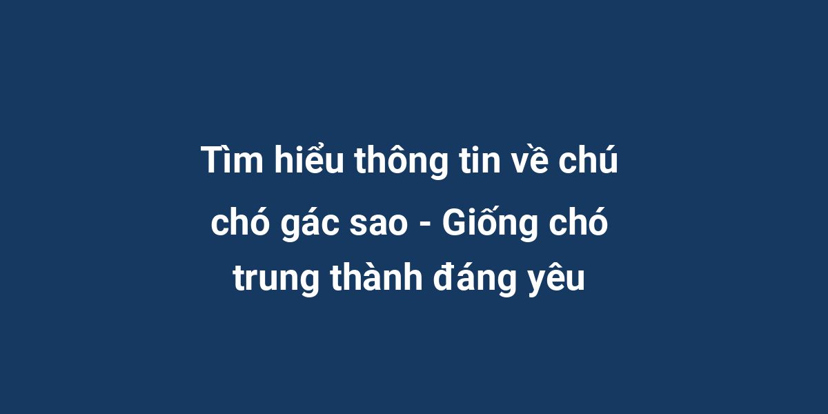 Tìm hiểu thông tin về chú chó gác sao - Giống chó trung thành đáng yêu