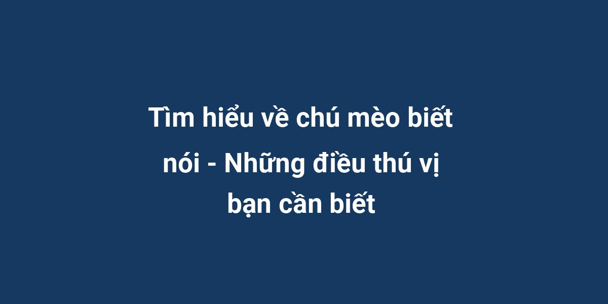 Tìm hiểu về chú mèo biết nói - Những điều thú vị bạn cần biết