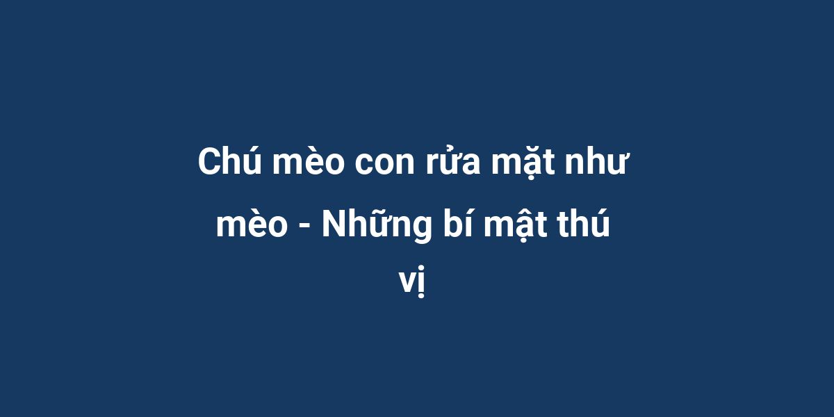 Chú mèo con rửa mặt như mèo - Những bí mật thú vị