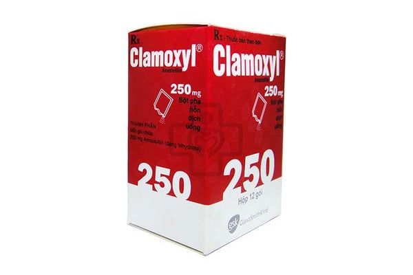 Clamoxyl 250mg liều dùng - Tất tần tật thông tin bạn cần biết