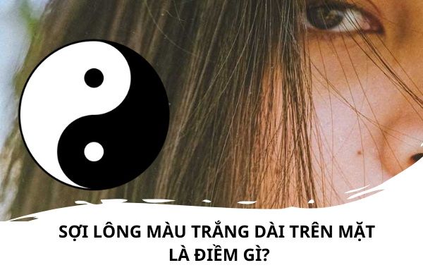 Tất tần tật thông tin về có lông trắng trên mặt - Cách điều trị và nguyên nhân