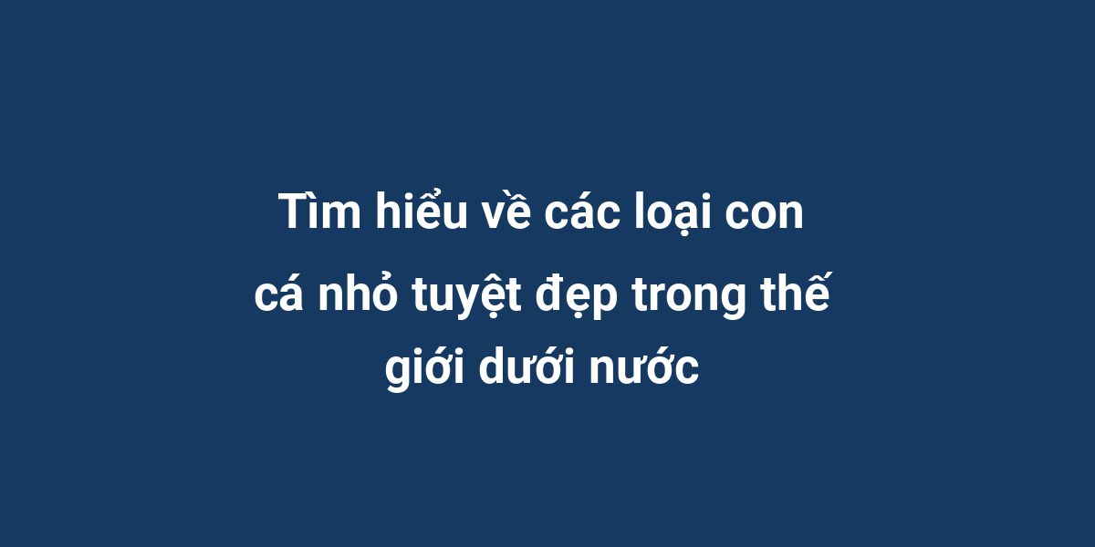 Tìm hiểu về các loại con cá nhỏ tuyệt đẹp trong thế giới dưới nước