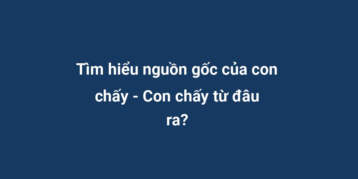 Tìm hiểu nguồn gốc của con chấy - Con chấy từ đâu ra?