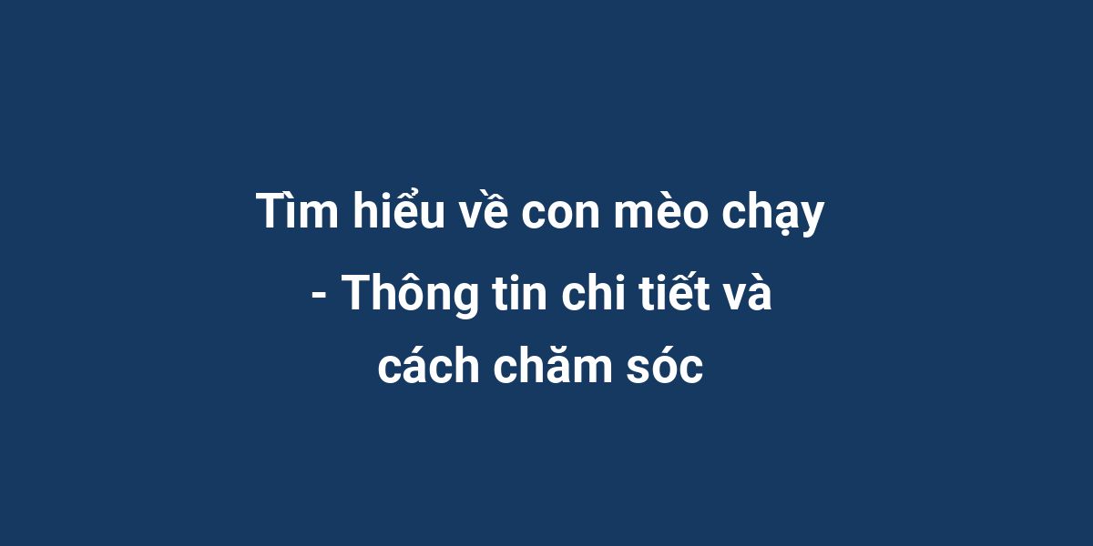 Tìm hiểu về con mèo chạy - Thông tin chi tiết và cách chăm sóc