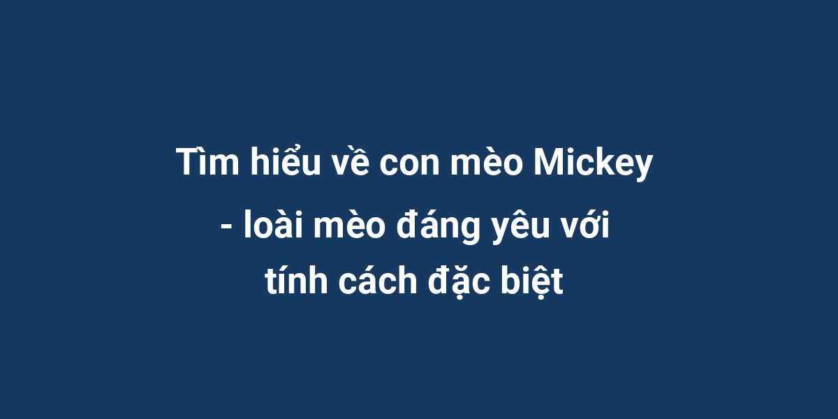 Tìm hiểu về con mèo Mickey - loài mèo đáng yêu với tính cách đặc biệt