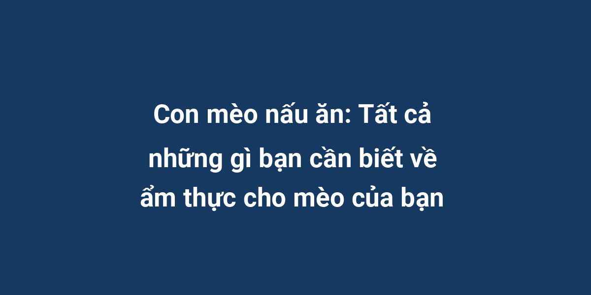 Con mèo nấu ăn: Tất cả những gì bạn cần biết về ẩm thực cho mèo của bạn