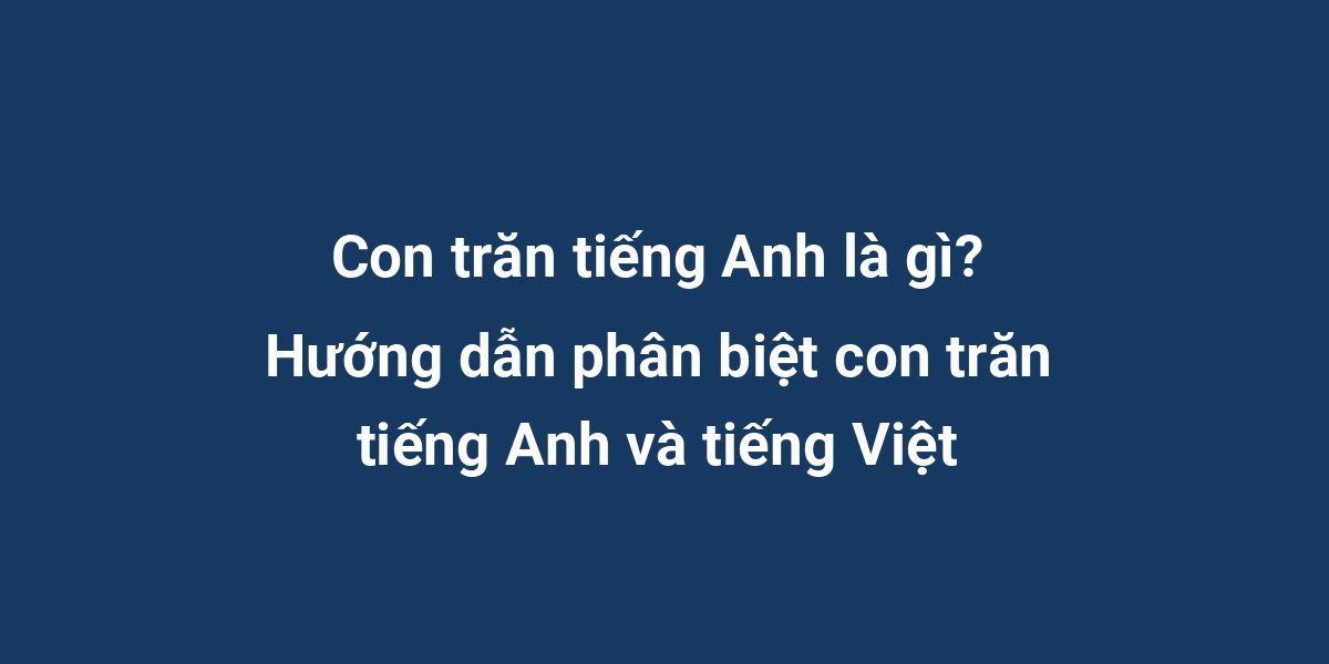 Con trăn tiếng Anh là gì? Hướng dẫn phân biệt con trăn tiếng Anh và tiếng Việt