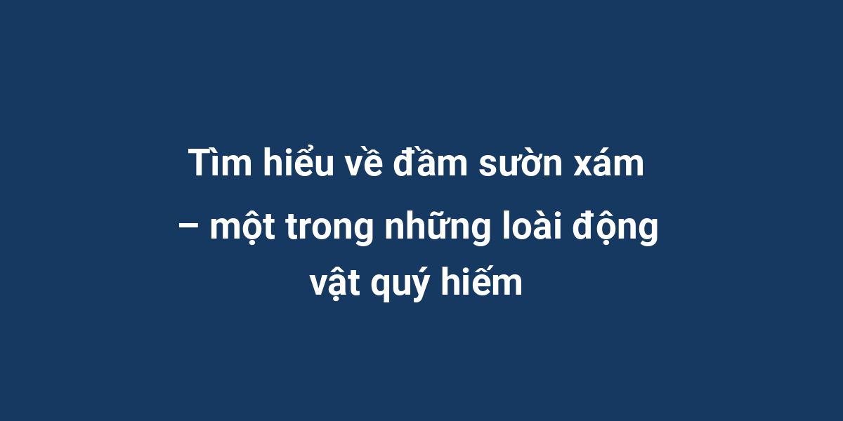 Tìm hiểu về đầm sườn xám – một trong những loài động vật quý hiếm