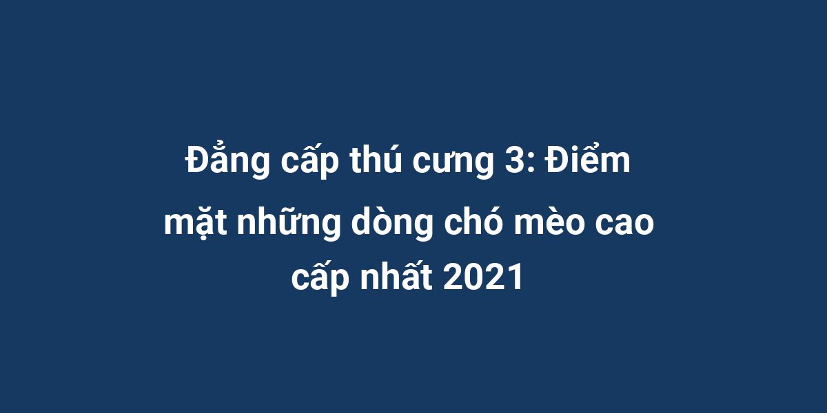 Đẳng cấp thú cưng 3: Điểm mặt những dòng chó mèo cao cấp nhất 2021