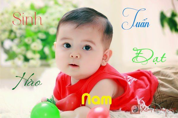 Đặt tên cho con tuổi Mùi - Những lưu ý về phong thủy và ý nghĩa tên cho bé