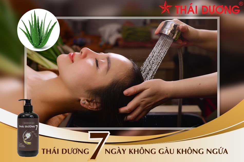 Tìm hiểu về dầu gội nha đam và lợi ích cho tóc của bạn