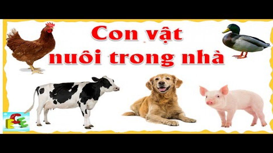 Dạy bé học các con vật nuôi trong nhà - Hướng dẫn bổ ích cho phụ huynh