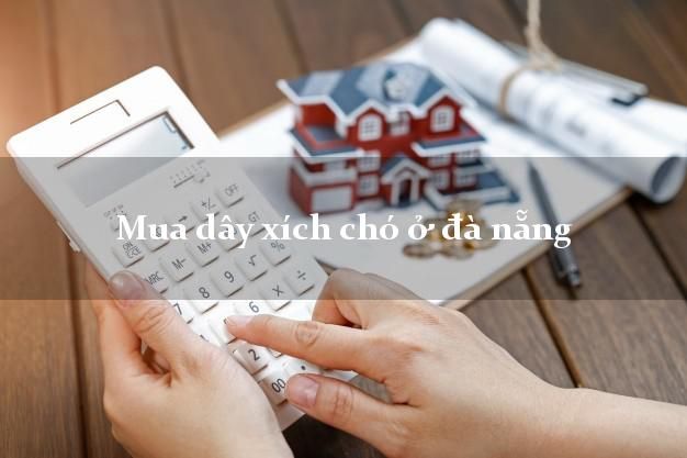 Tất tần tật thông tin về dây xích chó cảnh - Hướng dẫn chọn lựa và sử dụng